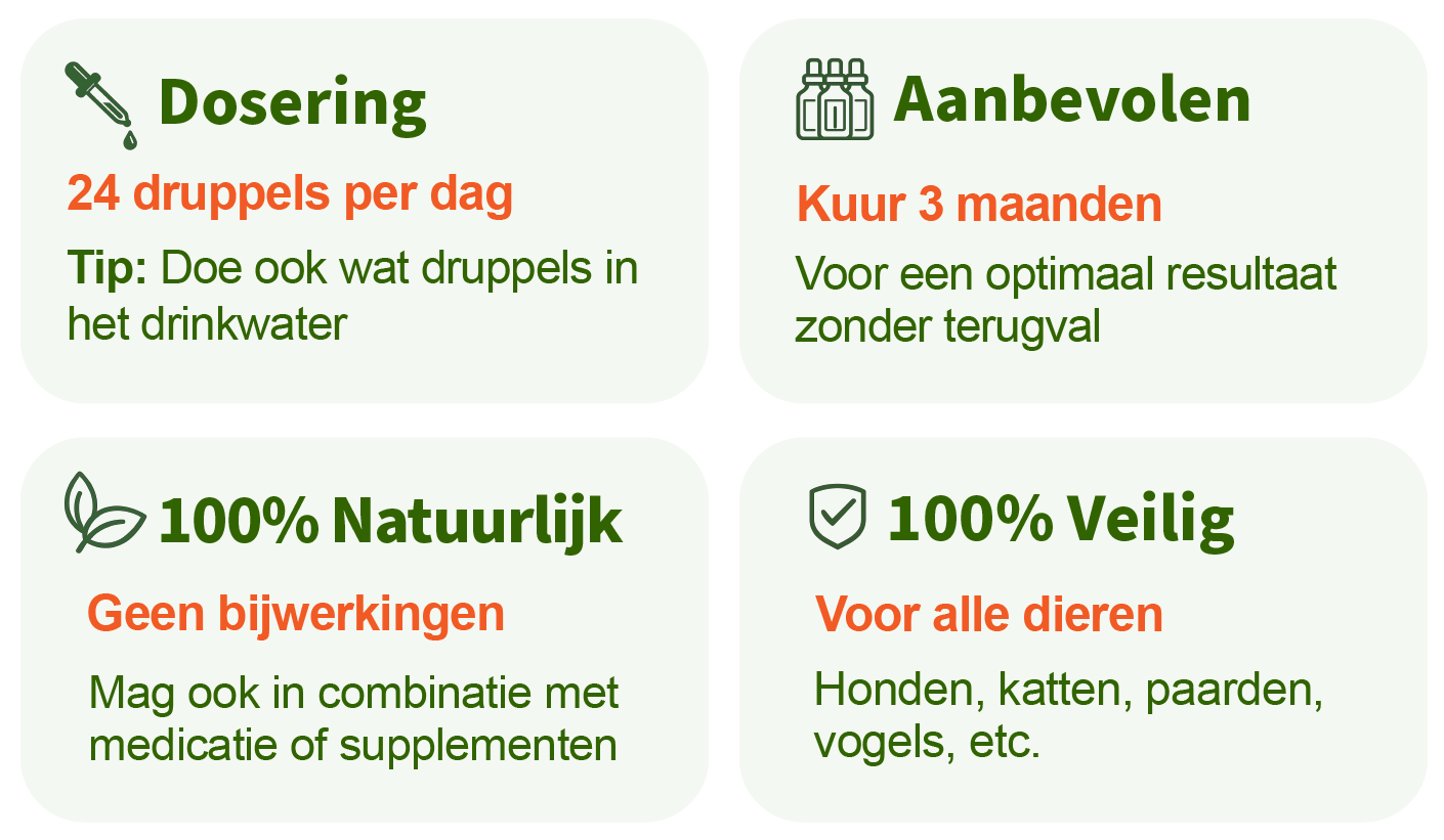 Bachbloesem Mix Gebruik en Dosering