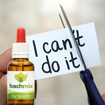 Bachbloesemmix Motivatie en Productiviteit