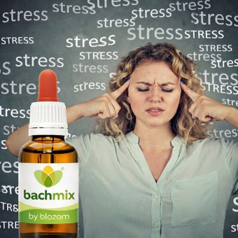 Bachloesemmix Stress