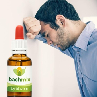 Bachbloesemmix Paniek