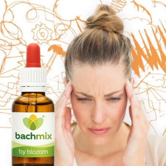 Bachbloesemmix HSP