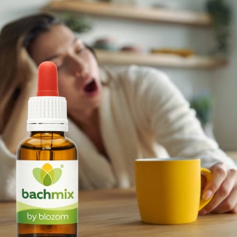 Bachbloesemmix Energie