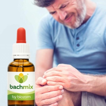 Bachbloesemmix Pijn