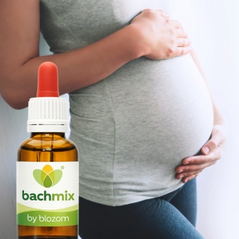 Bachbloesemmix Zwanger