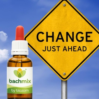 Bachbloesemmix Verandering en Nieuwe Situaties