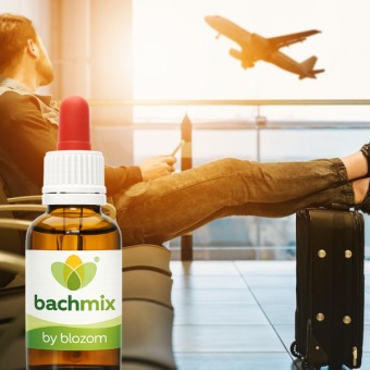 Bachbloesemmix Vliegangst