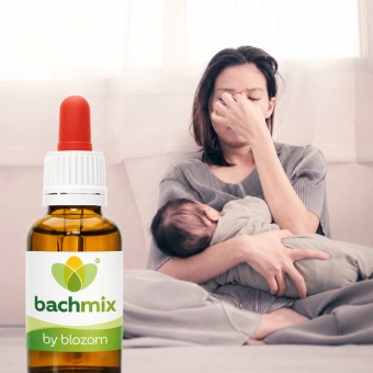 Bachbloesemmix Baby Blues