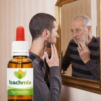Bachbloesemmix Ouder Worden