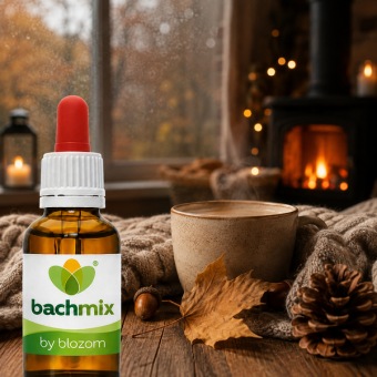 Bachmix 128