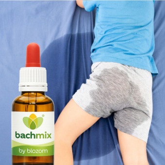 Bachbloesemmix Bedplassen