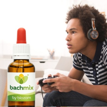 Bachbloesemmix Gameverslaving