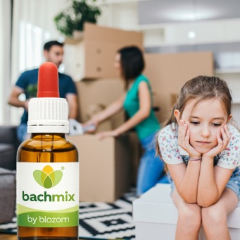 Bachbloesemmix Nieuwe Situaties