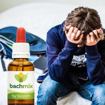 Bachbloesemmix Verdrietig Kind