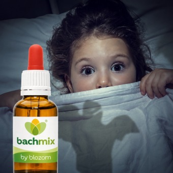 Bachbloesemmix Bang Kind