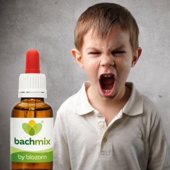 Bachbloesemmix Opstandig Kind