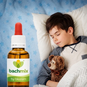 Bachbloesemmix Moeilijke Slaper
