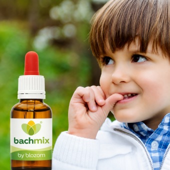 Bachbloesemmix Tics en Onrust