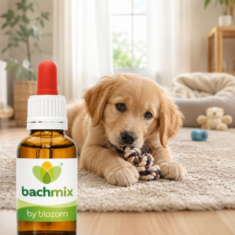 Bachbloesemmix Puppy's