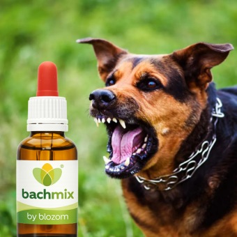 Bachbloesemmix Agressieve Hond