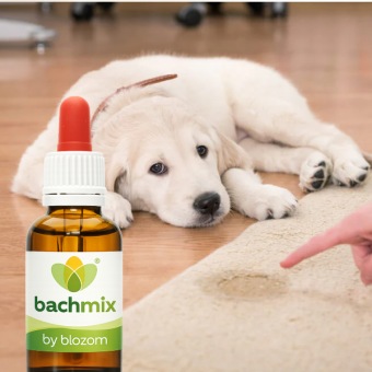 Bachbloesemmix Onzindelijke Hond
