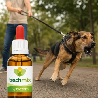 Bachbloesemmix Reactieve Hond