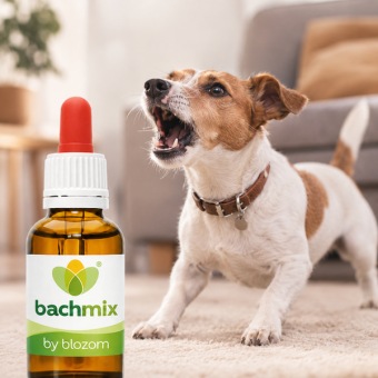 Bachbloesemmix Blaffende Hond