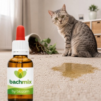 Bachbloesemmix Onzindelijke Kat