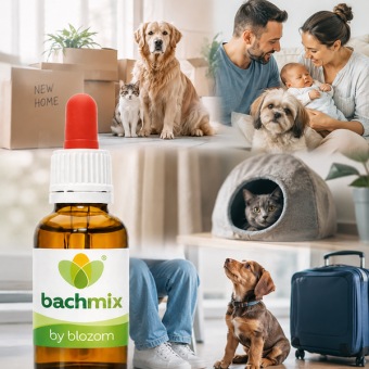 Bachbloesemmix veranderingen dieren