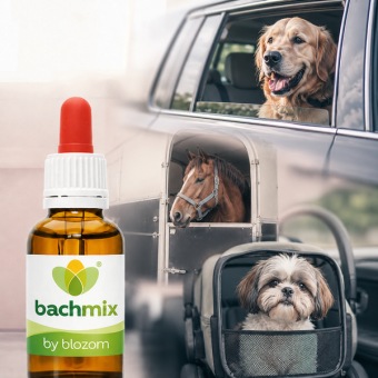 Bachbloesemmix wagenziekte en reisstress