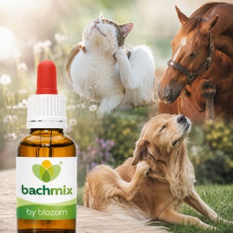 Bachbloesemmix jeuk, allergie en huidproblemen