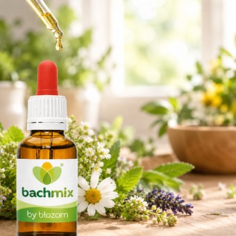 Bachmix 501
