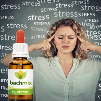 Bachloesemmix Stress
