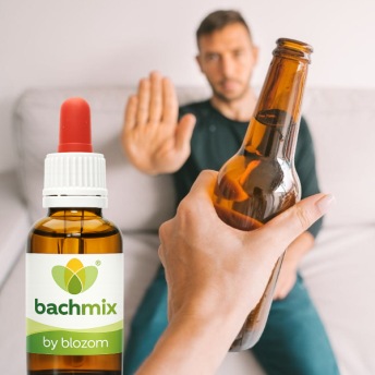 Bachmix 114