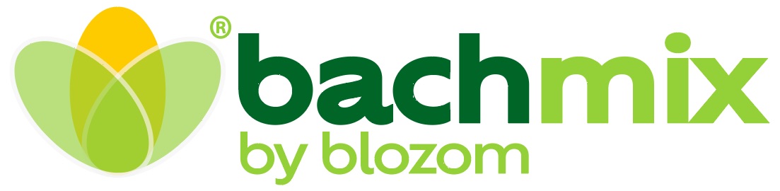 bachmix.com Startseite